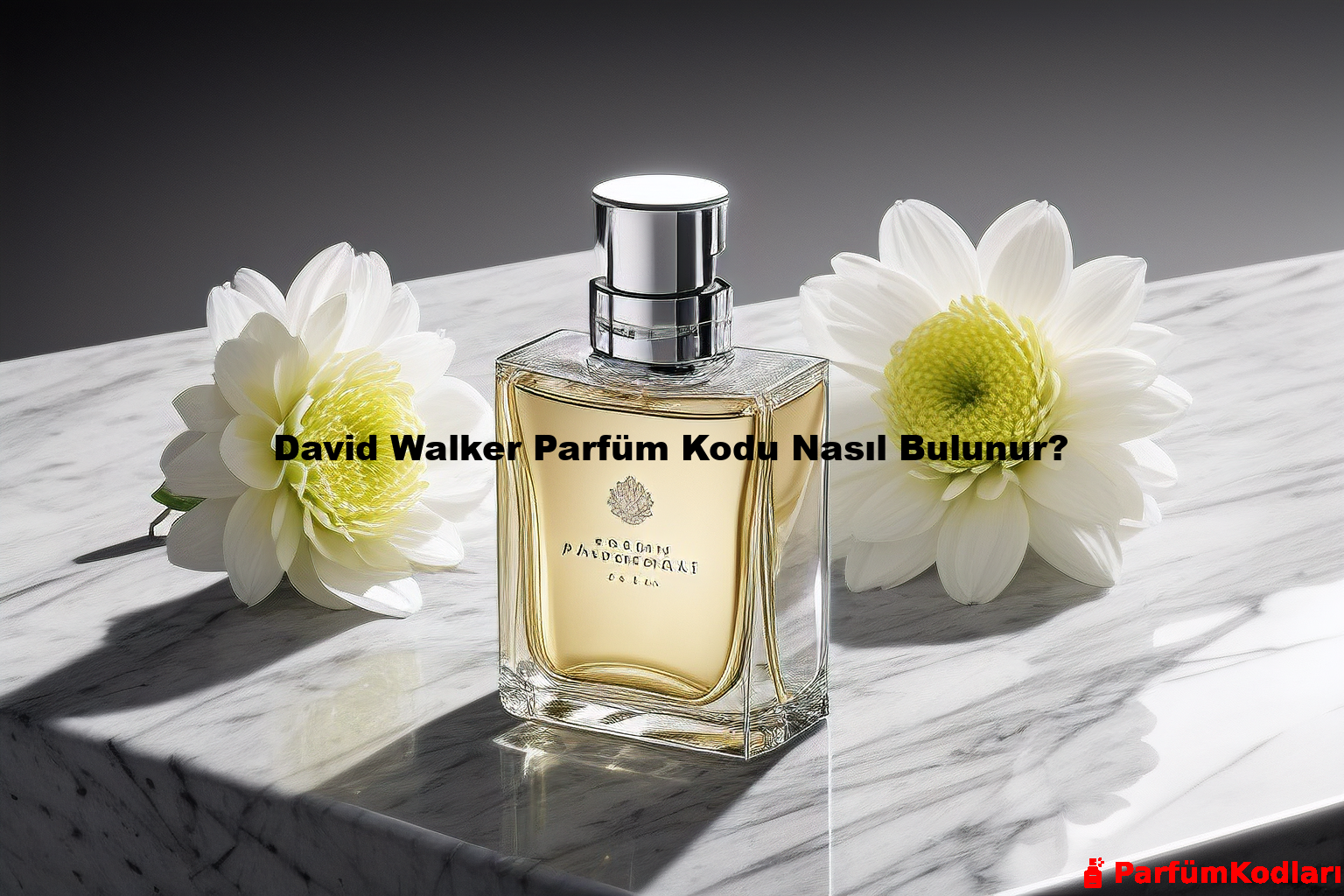 David Walker Parfüm Kodu Nasıl Bulunur?