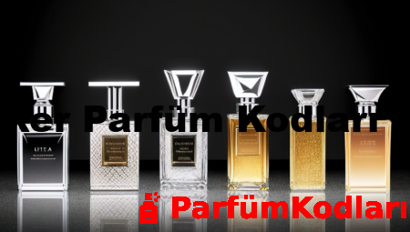 David Walker Parfüm Kodları ve İsimleri