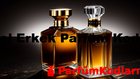 Eyfel Erkek Parfüm Kodları