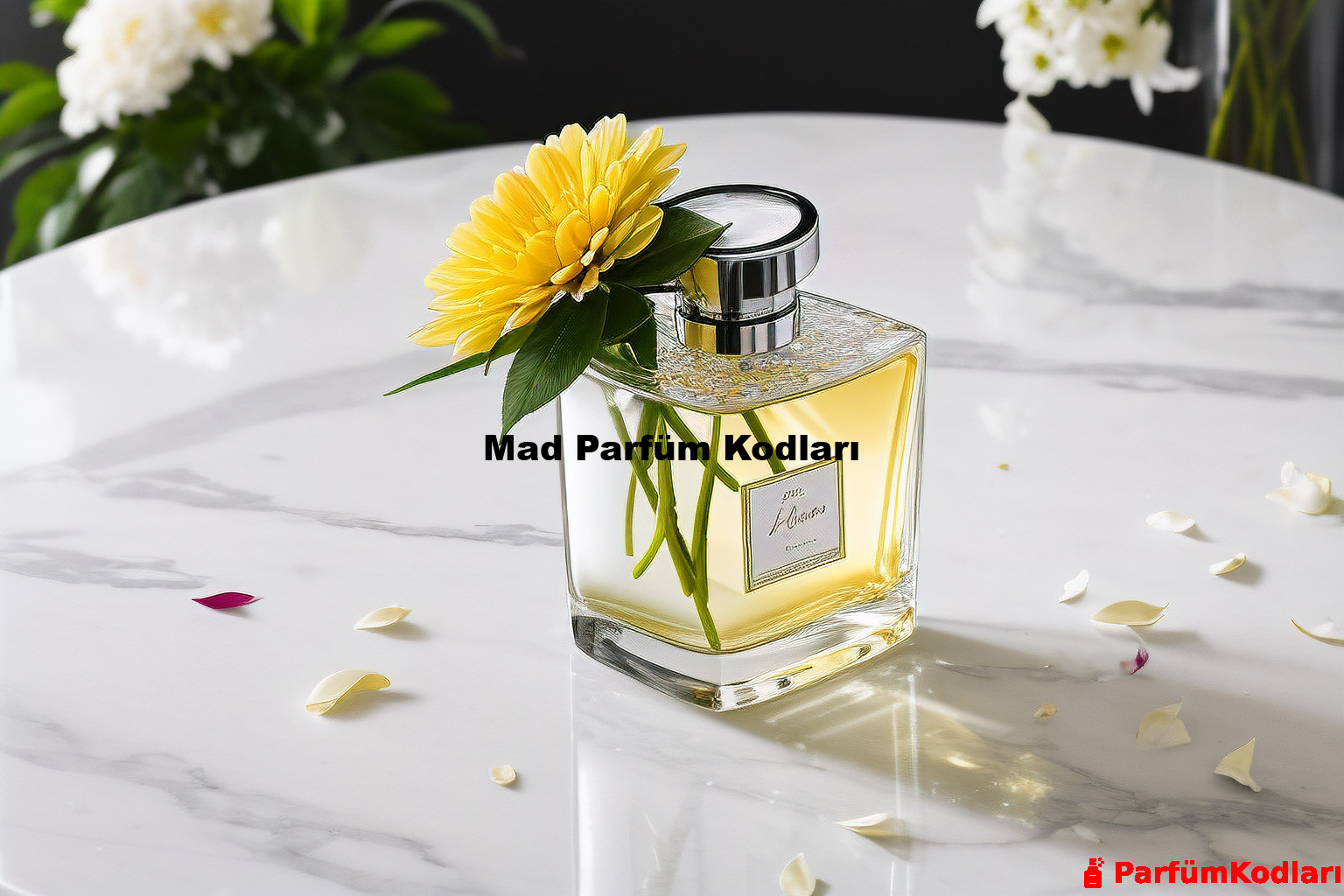 Mad Parfüm Kodları