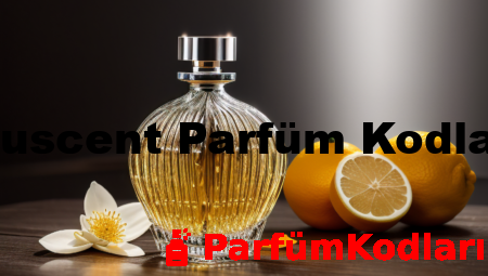 Muscent Parfüm Kodları