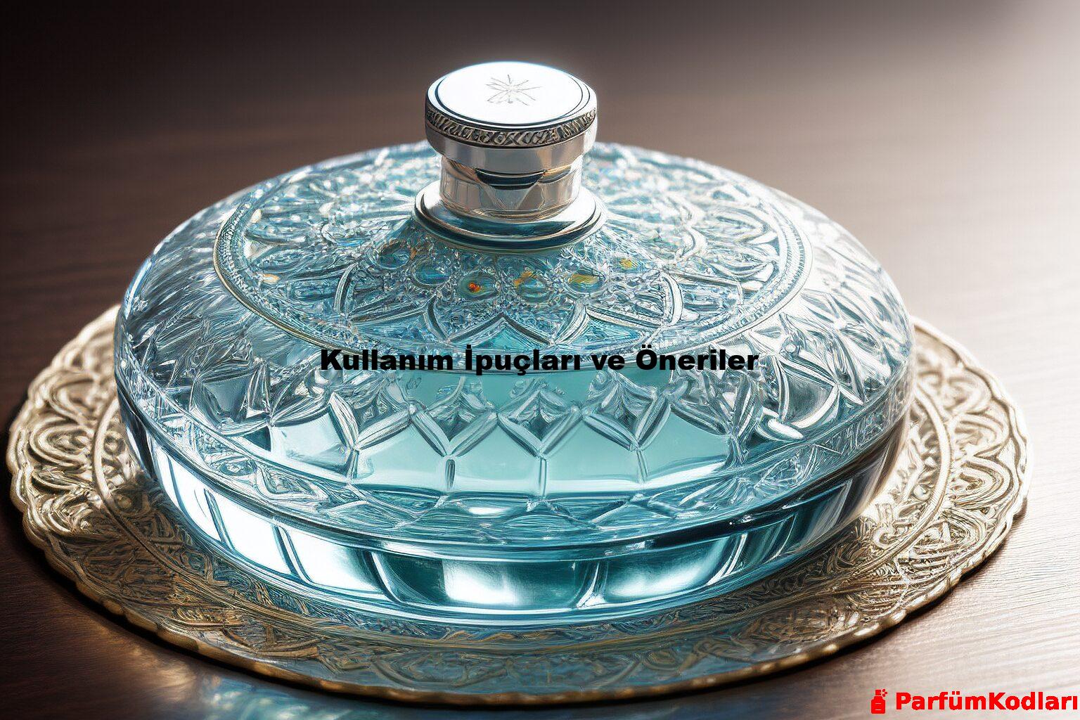 Kullanım İpuçları ve Öneriler