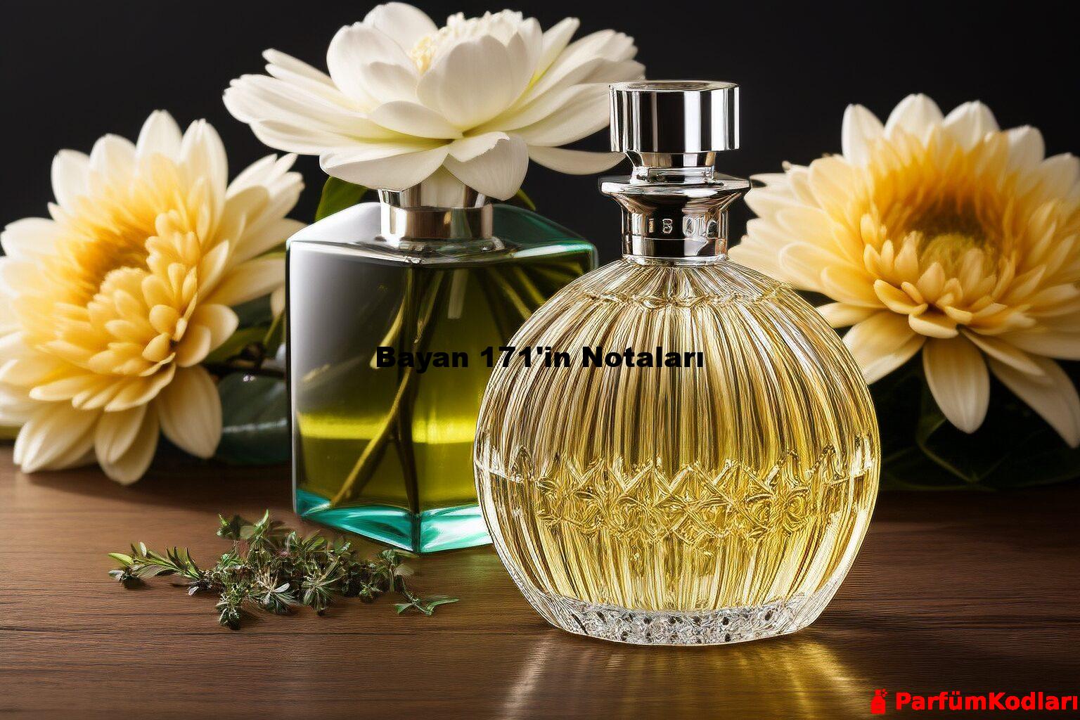Bayan 171'in Notaları