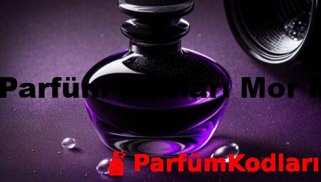 Bargello Parfüm Kodları Mor Mürekkep