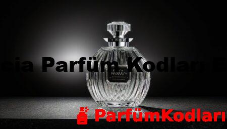 Brescia Parfüm Kodları Erkek