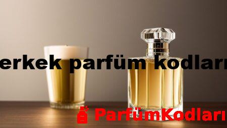 dp erkek parfüm kodları c7
