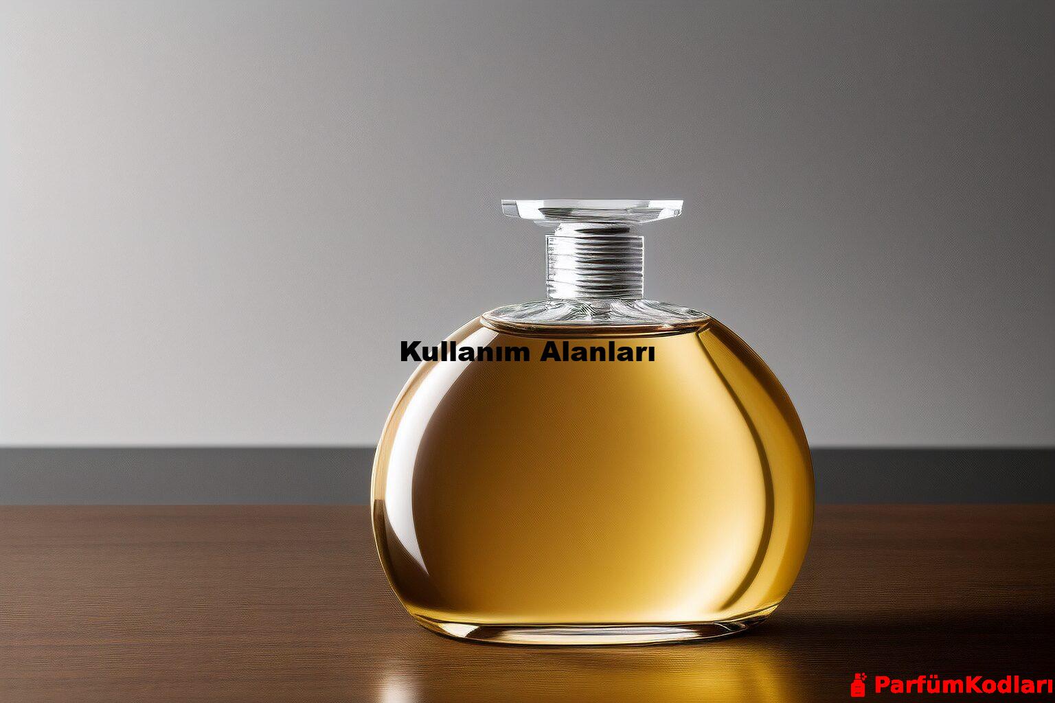 Kullanım Alanları