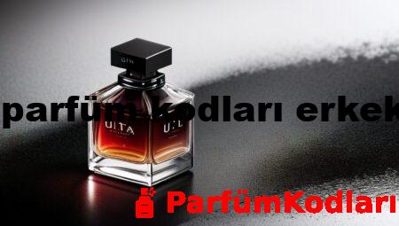 dp parfüm kodları erkek y1
