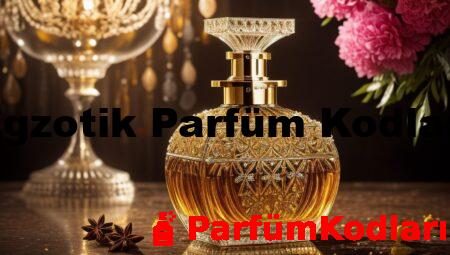 Egzotik Parfüm Kodları