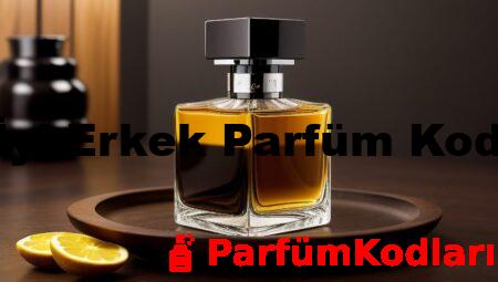En İyi Erkek Parfüm Kodları