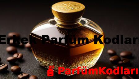 Erkek Parfüm Kodları