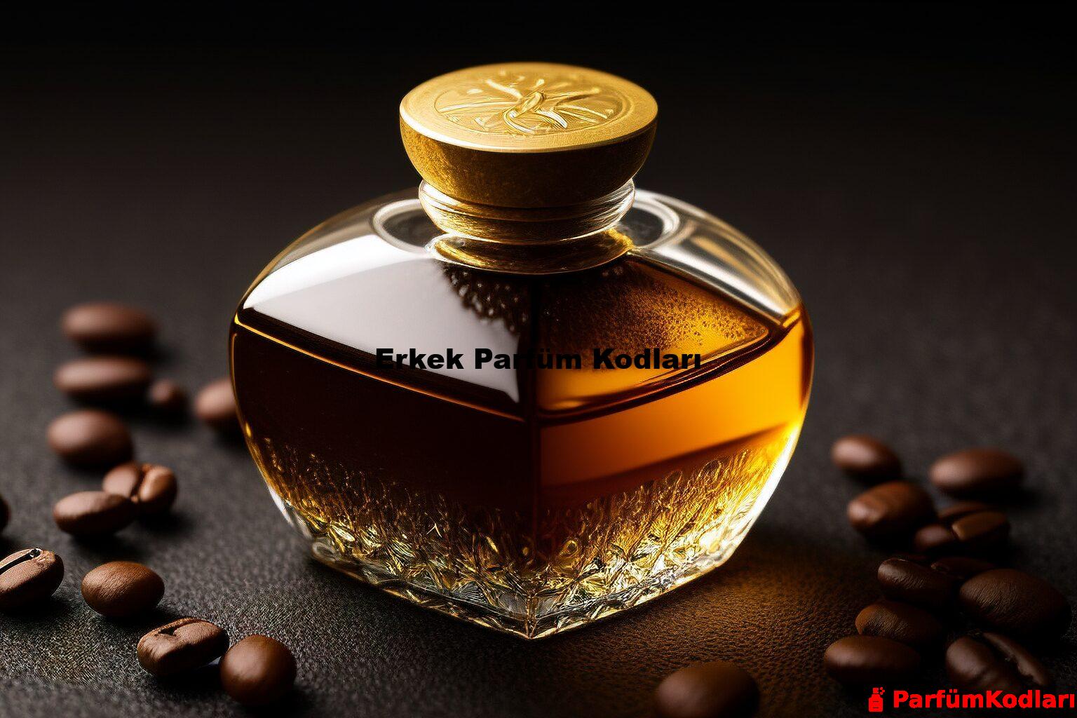 Erkek Parfüm Kodları