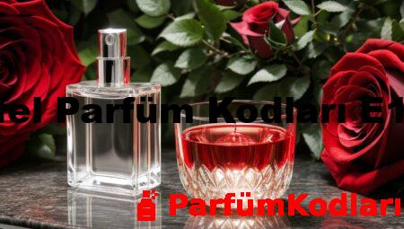 Eyfel Parfüm Kodları E120