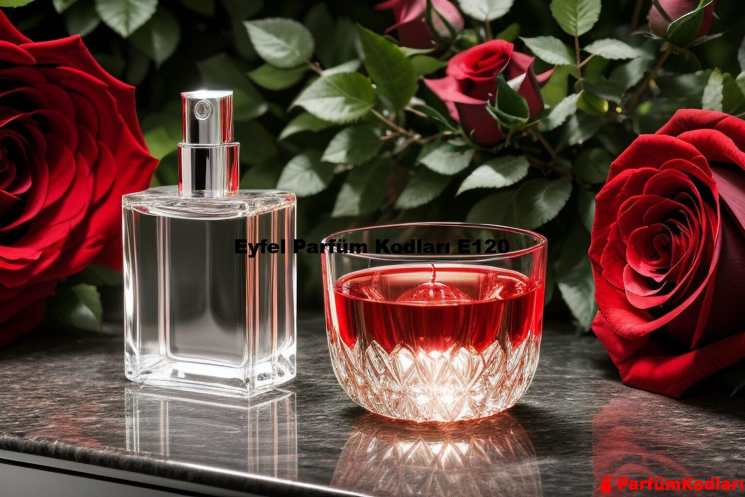 Eyfel Parfüm Kodları E120