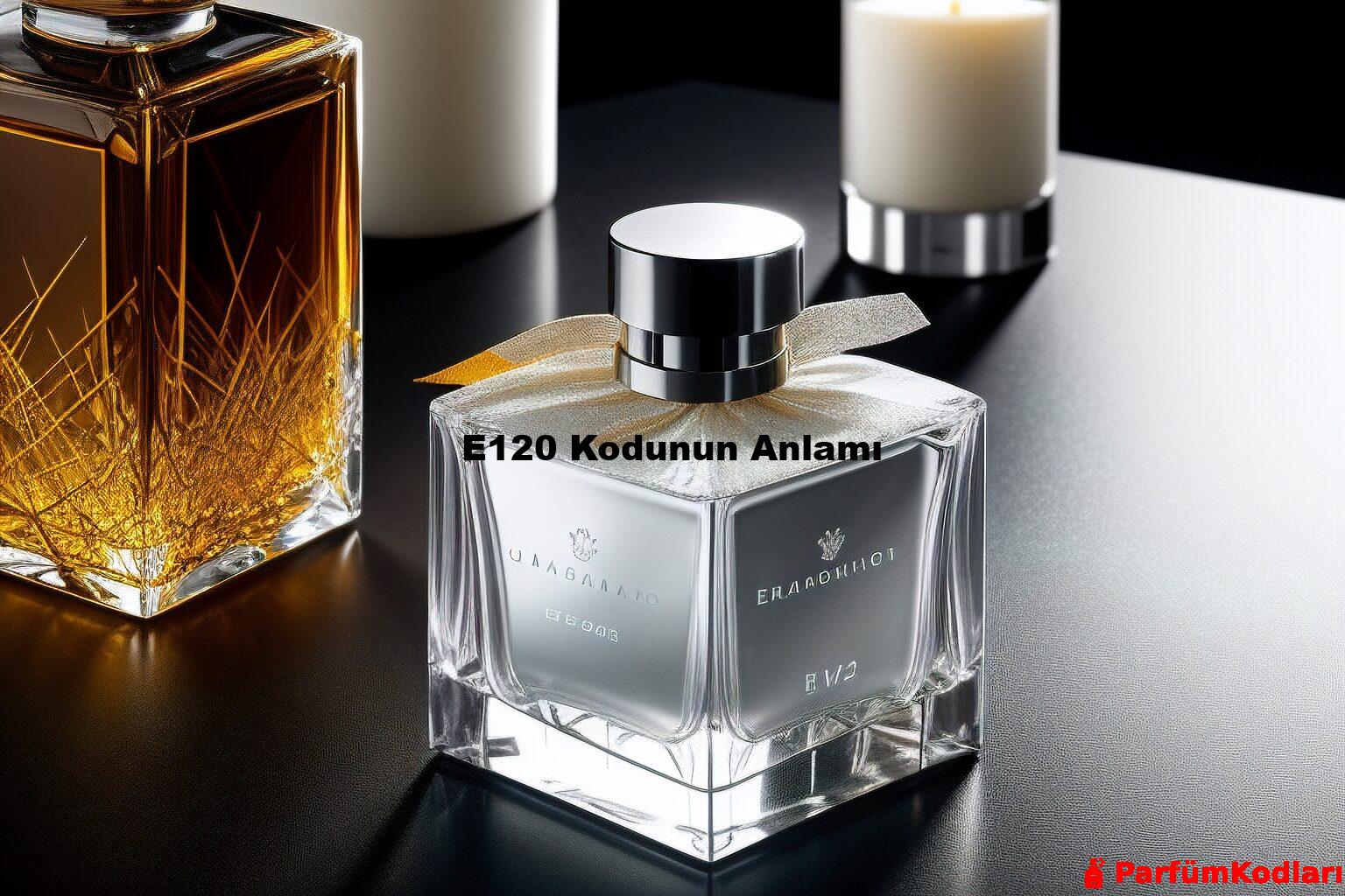 E120 Kodunun Anlamı