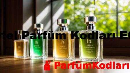 Eyfel Parfüm Kodları E65
