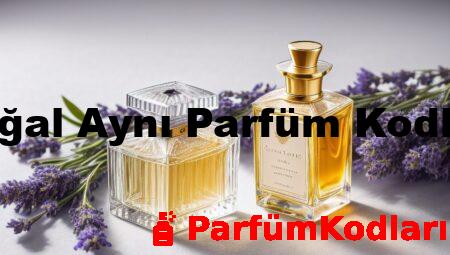Doğal Aynı Parfüm Kodları