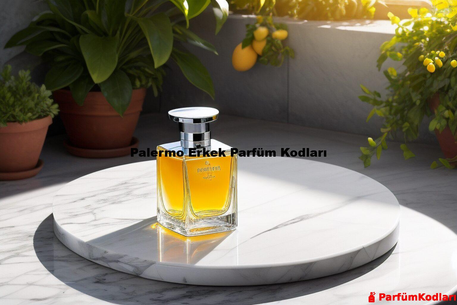 Palermo Erkek Parfüm Kodları