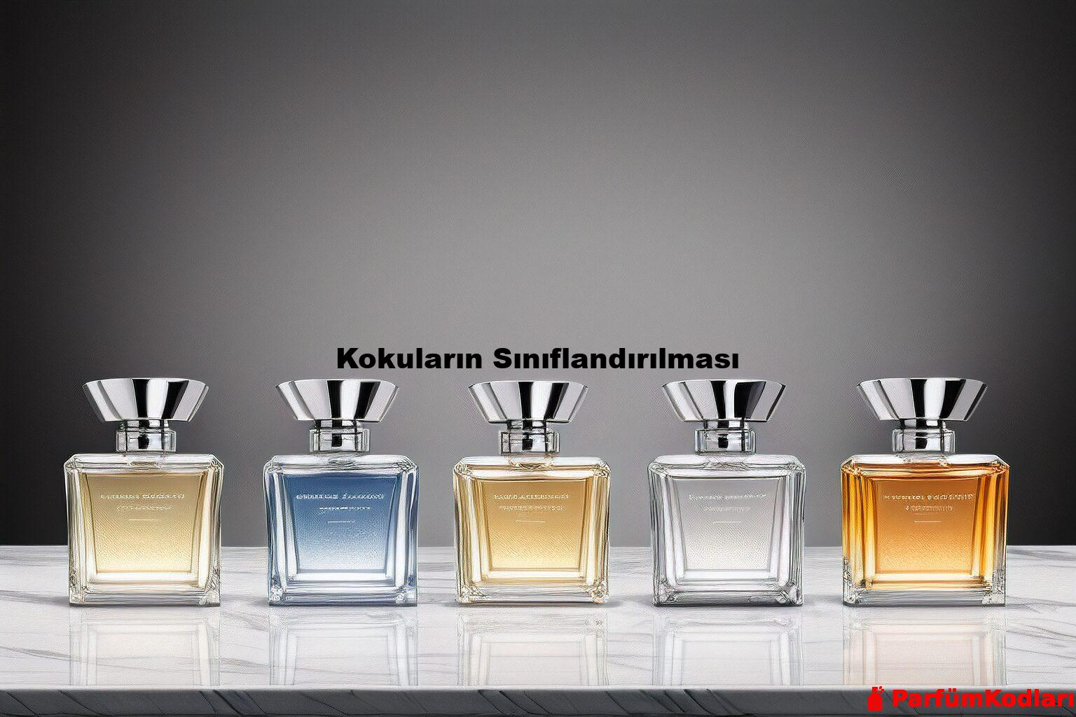 Kokuların Sınıflandırılması