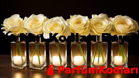Parfüm Kodları Bayan