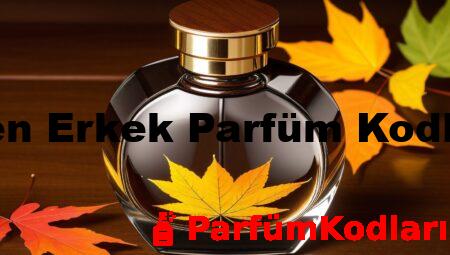 Pien Erkek Parfüm Kodları