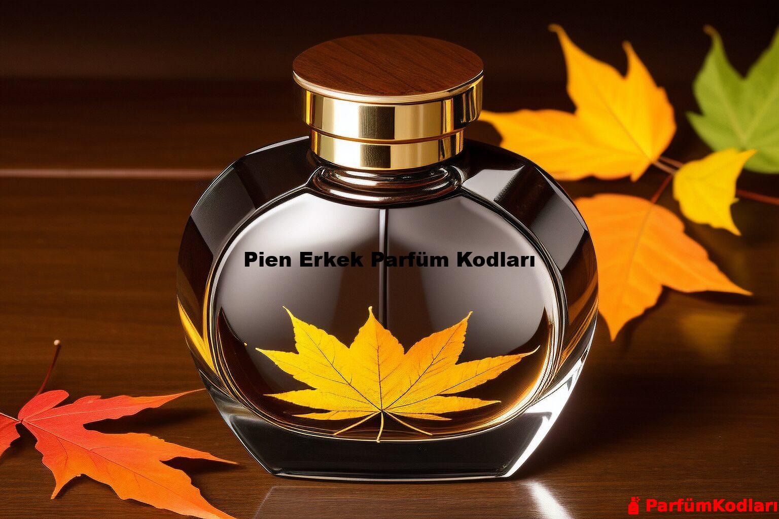 Pien Erkek Parfüm Kodları