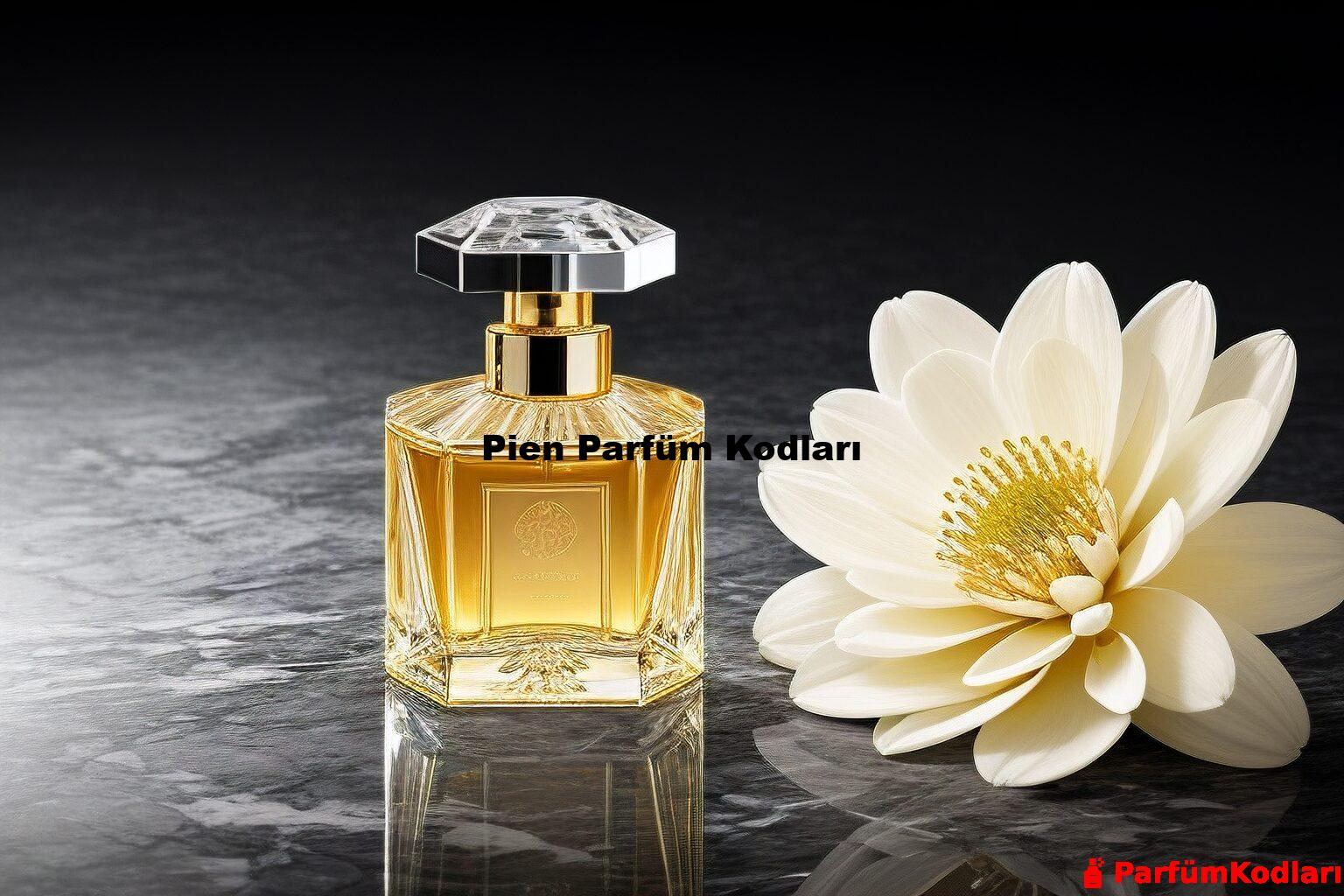 Pien Parfüm Kodları