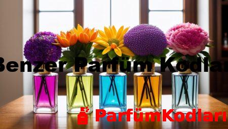 Benzer Parfüm Kodları