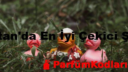 Eyüpsultan’da En İyi Çekici Şirketleri