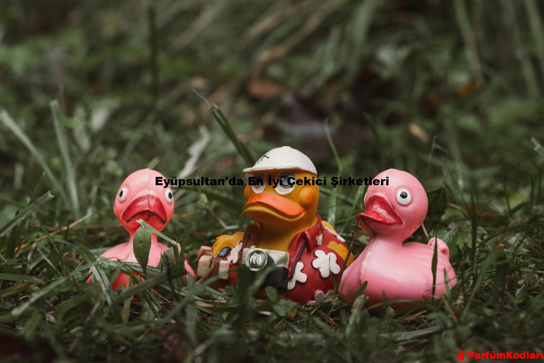Eyüpsultan'da En İyi Çekici Şirketleri