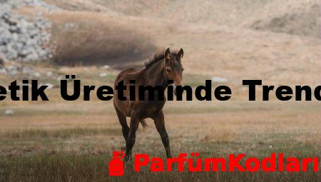 Fason Kozmetik Üretiminde Trendleri Takip Et