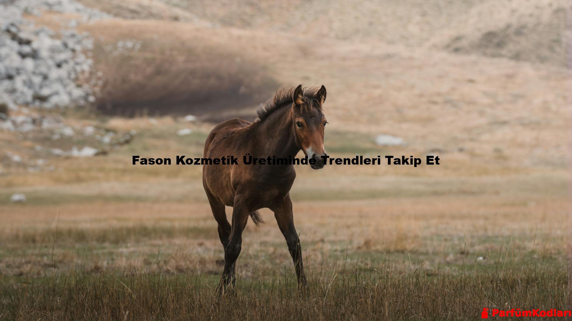 Fason Kozmetik Üretiminde Trendleri Takip Et