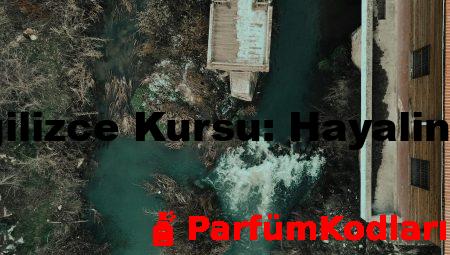 Pendik’te İngilizce Kursu: Hayalinizdeki Fırsat!