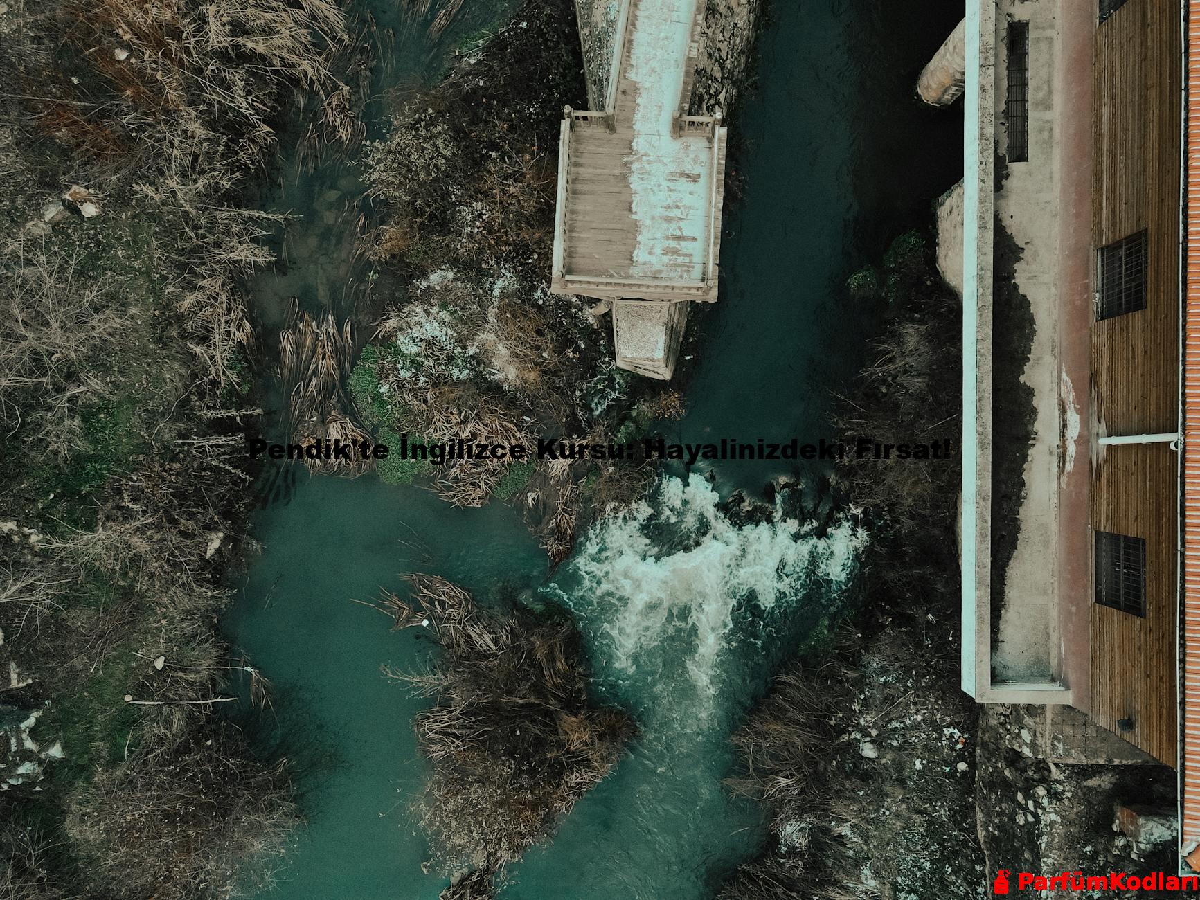 Pendik'te İngilizce Kursu: Hayalinizdeki Fırsat!