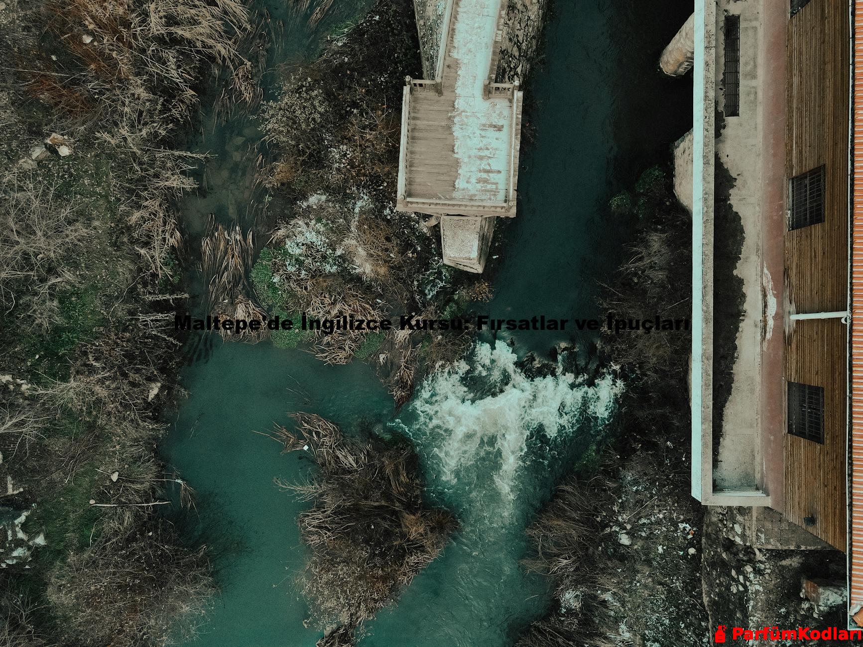 Maltepe'de İngilizce Kursu: Fırsatlar ve İpuçları