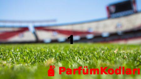 Haalandin 2025 26 Sezonu Icin Gol Rekoru Hedefi
