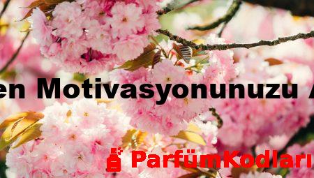 Almanca Öğrenirken Motivasyonunuzu Artıracak Taktikler