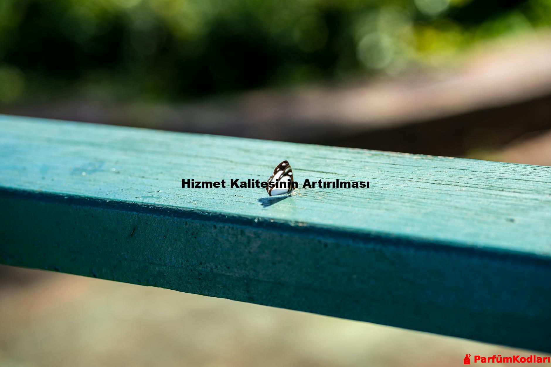 Hizmet Kalitesinin Artırılması