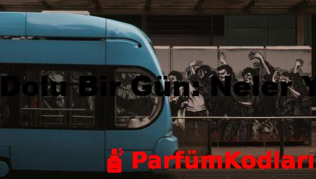 Tavsiyelerle Dolu Bir Gün: Neler Yapmalısınız?