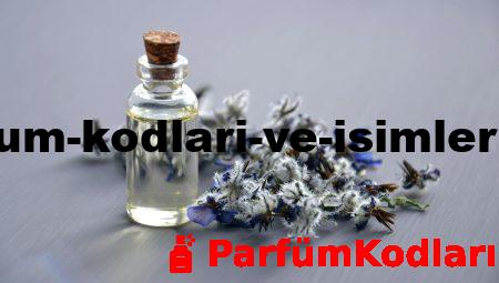Bayan Parfüm Kodları ve İsimleri ile Tanışın