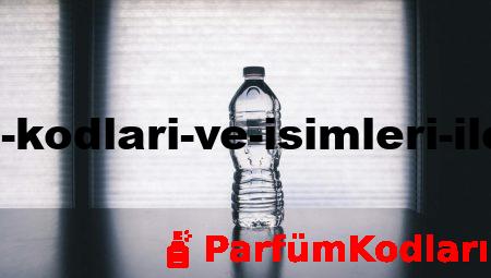 Erkek Parfüm Kodları ve İsimleri ile Tarzınızı Yansıtın