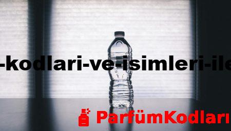 Yaz Parfüm Kodları ve İsimleri ile Ferahlayın