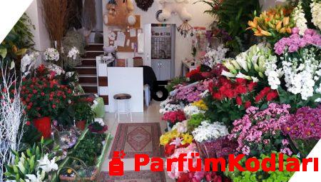 Güvenilir Çiçek Gönderimi İçin Floksia’yı Seçin