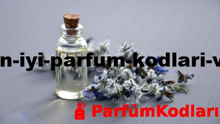 Yaz İçin En İyi Parfüm Kodları ve İsimleri