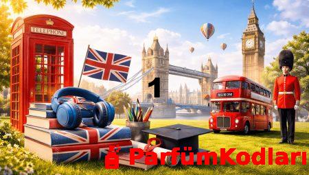 Kocaeli’de İngilizce Kursları: Hızla Gelişen Trendler