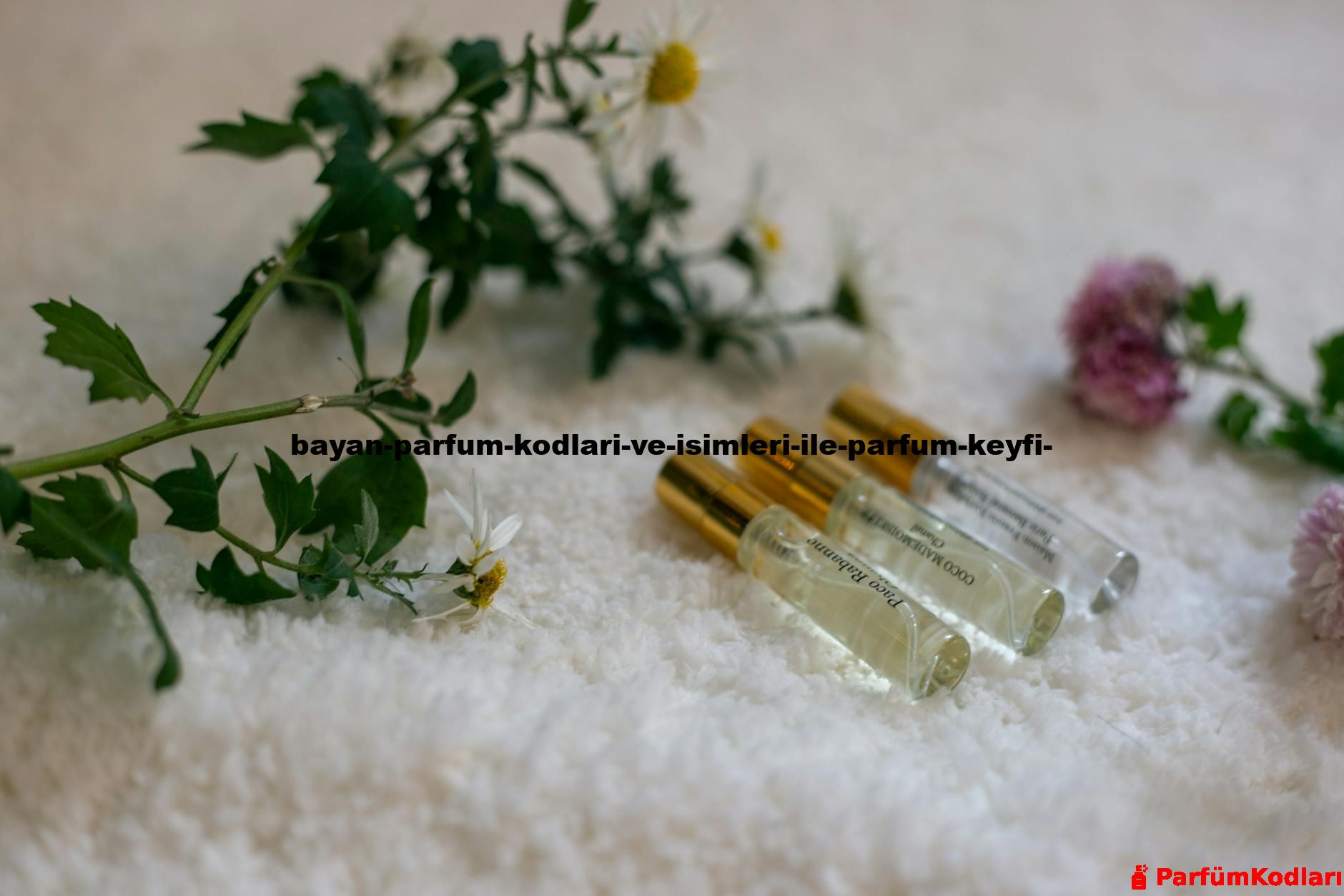 Three glass perfume bottles beside delicate flowers on a white surface.
