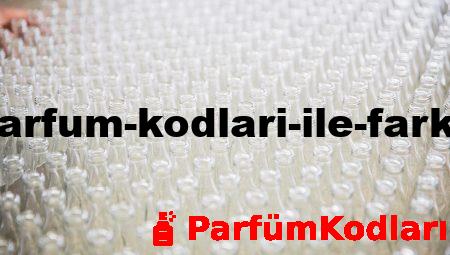Erkek Parfüm Kodları ile Fark Yaratın