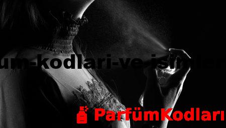 Orijinal Parfüm Kodları ve İsimleri İncelemesi