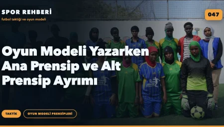 Oyun Modeli Yazarken Ana Prensip ve Alt Prensip Ayrımı